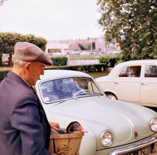 Frenchman to Market, Loire Valley